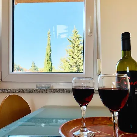 Apartament Solaris - With Private Parking *